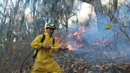 13000476 1151460078207265 928408283 o